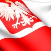 The Polish Undocumented