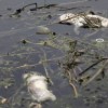Millions at Risk Due to Polluted Water