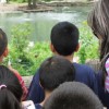 Chicago Park District, LPZ Announce the Return of Free Nature Play Dates