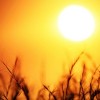 El calor extremo está en el pronóstico: consejos para mantenerse seguro