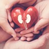 Jesse White Aconseja la Donación de Organos/Tejidos en el Mes de Concientización Sobre Donantes Nacionales Minoritarios Virtuales
