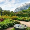 Ultima Oportunidad de Disfrutar el Jardín de Monet en el Conservatorio de Garfield Park
