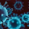 Illinois Department of Public Health Monitoring New Coronavirus Variant