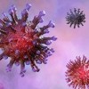 El Departamento de Salud Pública de Illinois Vigila el Nuevo Variante del Coronavirus