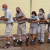 Brookfield Zoo Celebrates World Snake Day