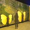 ‘Camina por el Arcoiris’ en el Museo Field