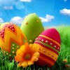 Easter Egg Hunt Activities