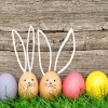 Actividades de Búsqueda de Huevos de Pascua