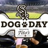 White Sox Launch ‘Sox Ultimutt Dog Naming Contest’ for Rescue Puppies