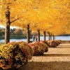 Illinois Office of Tourism Releases Autumn Trip Planner
