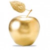Ya Están Abiertas Las Solicitudes para el Programa de Preparación de Profesores Scholars de Golden Apple