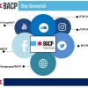 El programa de certificación de emprendedores BACP lanza un portal fácil de usar