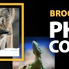 Brookfield Zoo Chicago now Accepting Entries for Its 2024 Digital Photo Contest