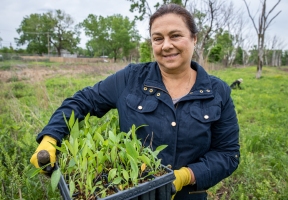 Lawndale News Chicago's Bilingual Newspaper - Business